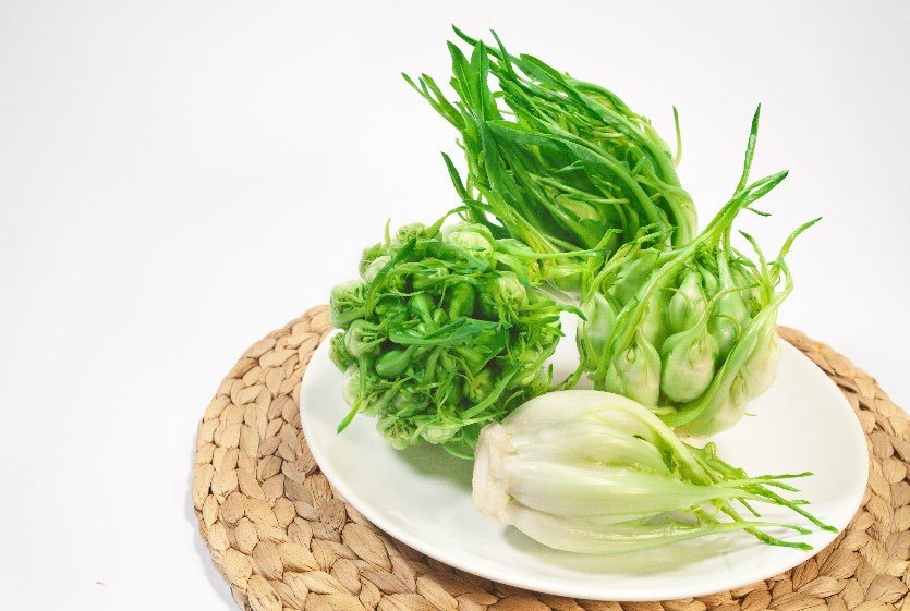 Cicoria Puntarelle Molfettese